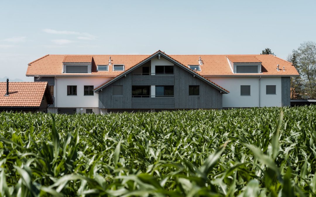 Construction immeuble